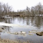 Water still to come off the Manitoba escarpment backs up into a pasture near Altamont May 2.