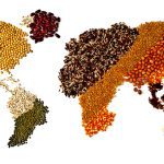 ‘We need more initiatives that enable equitable distribution of land, water and income globally.’