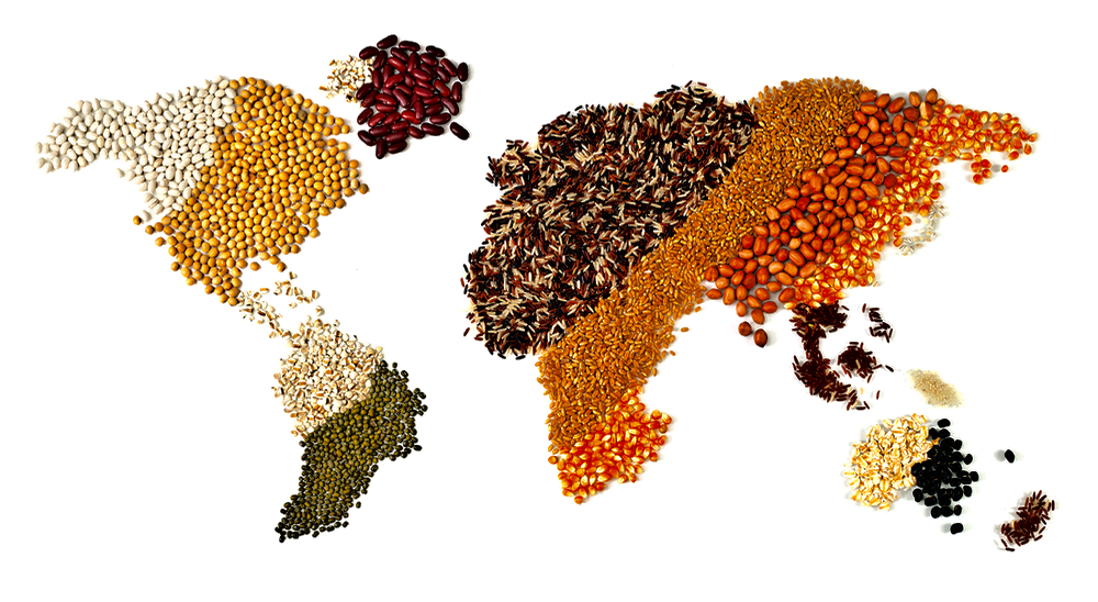 ‘We need more initiatives that enable equitable distribution of land, water and income globally.’