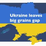 What can Canada do to fill the grains gap, and minimize its own risk of fallout?