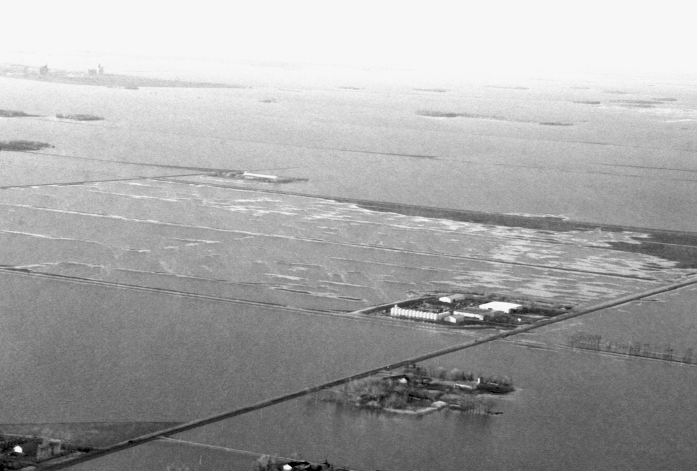 Flooding near Rosenort looking northeast.