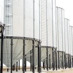 (WWing/E+/Getty Images)
