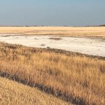 soil salinity