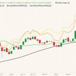 CBOT July 2022 wheat (candlesticks) with 20- and 50-day moving averages (green and black lines), MGEX July 2022 spring wheat (yellow line) and K.C. July 2022 hard red wheat (orange line). (Barchart)
