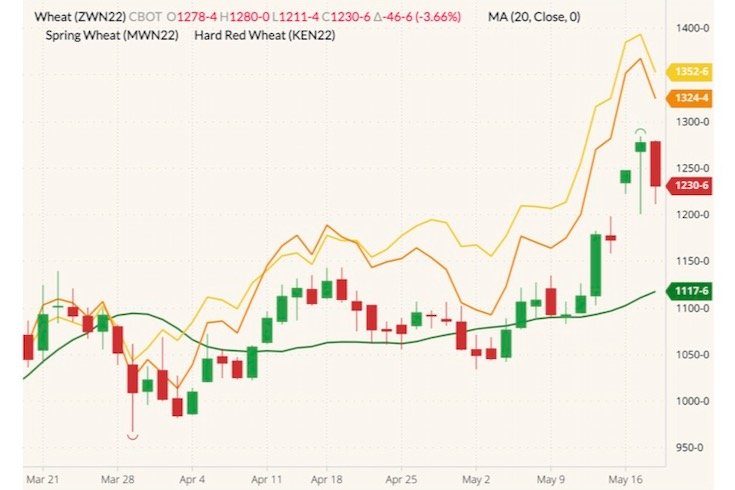 CBOT July 2022 soft red winter wheat (candlesticks) with 20-day moving average (green line), MGEX July 2022 spring wheat (yellow line) and K.C. July 2022 hard red winter wheat (orange line). (Barchart)
