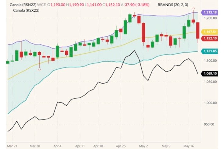 ICE July 2022 canola (candlesticks) with Bollinger bands (20,2) and November 2022 canola (black line). (Barchart)
