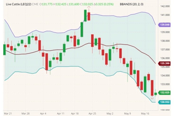 CME August 2022 live cattle (candlesticks) with Bollinger bands (20,2). (Barchart)
