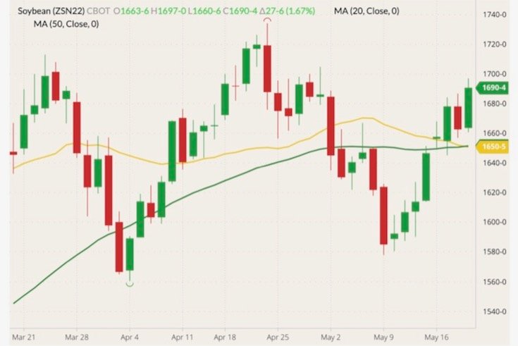 CBOT July 2022 soybeans (candlesticks) with 20- and 50-day moving averages (yellow and green lines). (Barchart)
