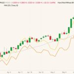 MGEX July 2022 spring wheat (candlesticks) with 20-day moving average (gray line), K.C. July 2022 hard red winter wheat (yellow line) and CBOT July 2022 wheat (orange line). (Barchart)
