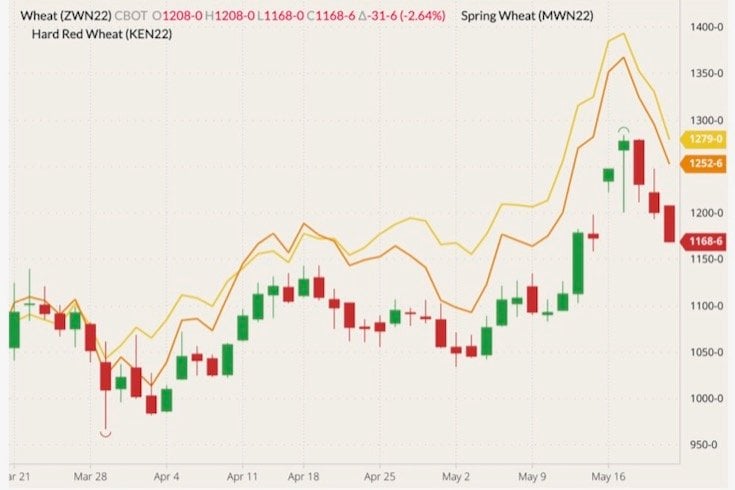 CBOT July 2022 wheat (candlesticks) with MGEX July 2022 spring wheat (yellow line) and K.C. July 2022 hard red wheat (orange line). (Barchart)
