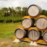 File photo of barrels on display in a Nova Scotia vineyard. (Tashka/iStock/Getty Images)
