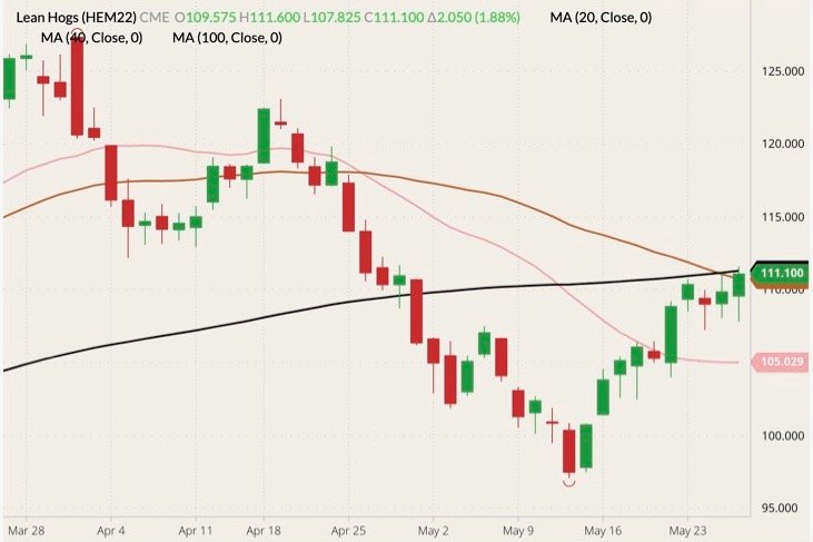 CME June 2022 lean hogs (candlesticks) with 20-, 40- and 100-day moving averages (pink, brown and black lines). (Barchart)
