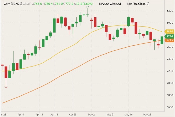 CBOT July 2022 corn (candlesticks) with 20- and 50-day moving averages (yellow and orange lines). (Barchart)
