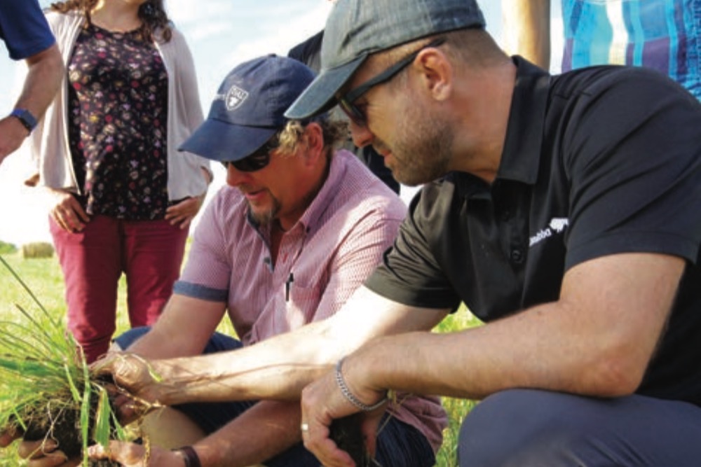 Producers at a 2019 field tour take a look into the soil under cover crops.