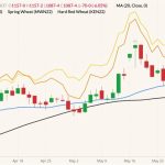 CBOT July 2022 wheat (candlesticks) with 20- and 50-day moving averages (blue and black lines) and MGEX and K.C. July 2022 wheats (yellow and orange lines). (Barchart)
