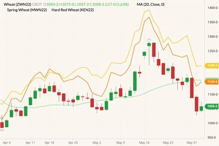 CBOT July 2022 wheat (candlesticks) with 20-day moving average (light green line) and MGEX and K.C. July 2022 wheats (yellow and orange lines). (Barchart)
