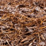 (Aika Pixels/iStock/Getty Images)
