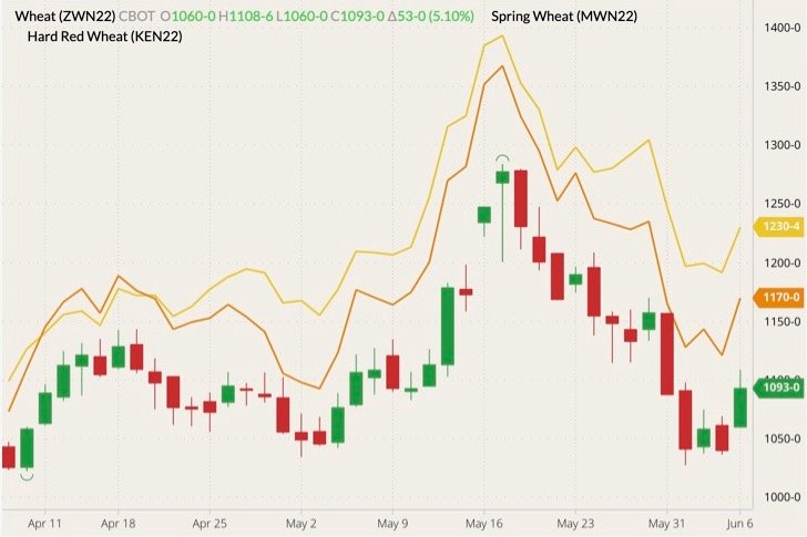 CBOT July 2022 wheat (candlesticks) with MGEX July 2022 spring wheat (yellow line) and K.C. July 2022 hard red wheat (orange line). (Barchart)
