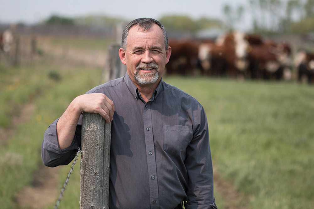 Dr. John Campbell is one of the country’s leading cattle experts, but even he doesn’t have much experience with early weaning of calves. It can be an option when feed is scarce, but the practice comes with many challenges, he said.