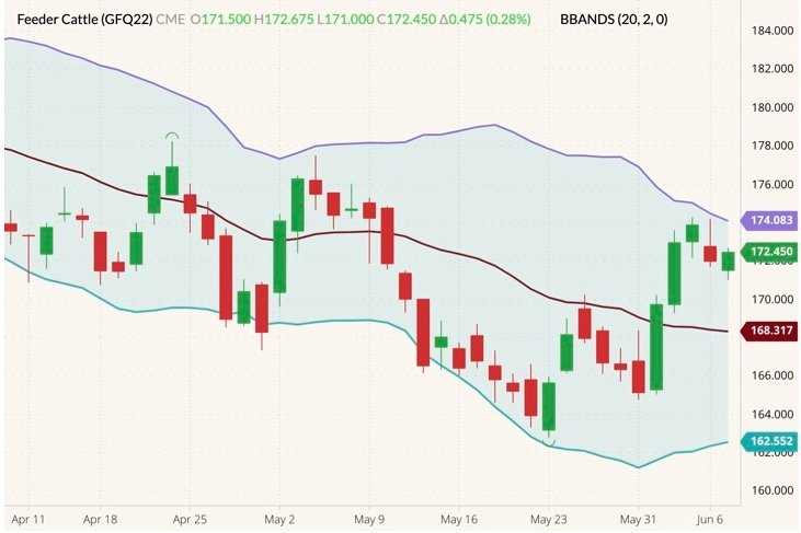 CME August 2022 feeder cattle (candlesticks) with Bollinger bands (20,2). (Barchart)

