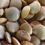 Green lentils. (Alexey Shipilov/iStock/Getty Images)
