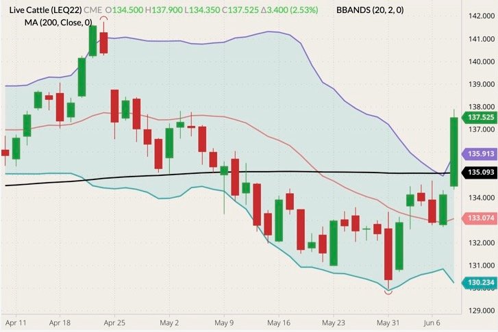 CME August 2022 live cattle (candlesticks) with Bollinger bands (20,2) and 200-day moving average (black line). (Barchart)
