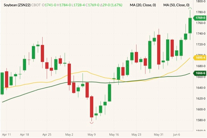 CBOT July 2022 soybeans (candlesticks) with 20- and 50-day moving averages (yellow and dark green lines). (Barchart)
