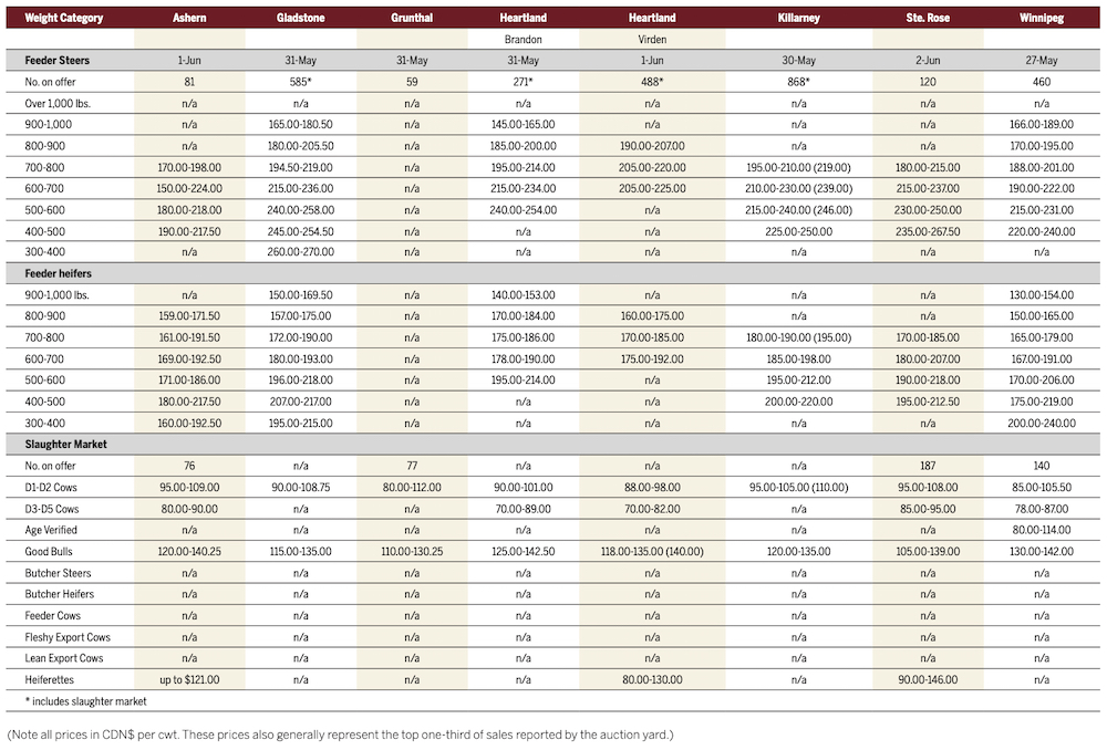 Feeder cattle, butcher cows still in demand