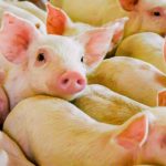 (Kelli Jo/iStock/Getty Images)
