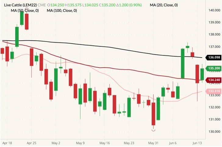 CME June 2022 live cattle (candlesticks) with 20-, 50- and 100-day moving averages (pink, dark red and black lines). (Barchart)
