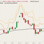 CBOT July 2022 soft red wheat (candlesticks) with 50-day moving average (black line), MGEX July 2022 spring wheat (yellow line) and K.C. July 2022 hard red wheat (orange line). (Barchart)
