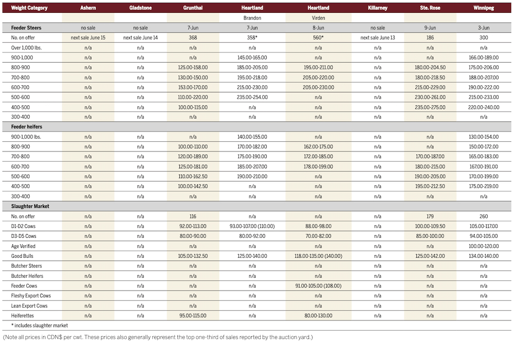 Manitoba ranchers’ grass in good shape