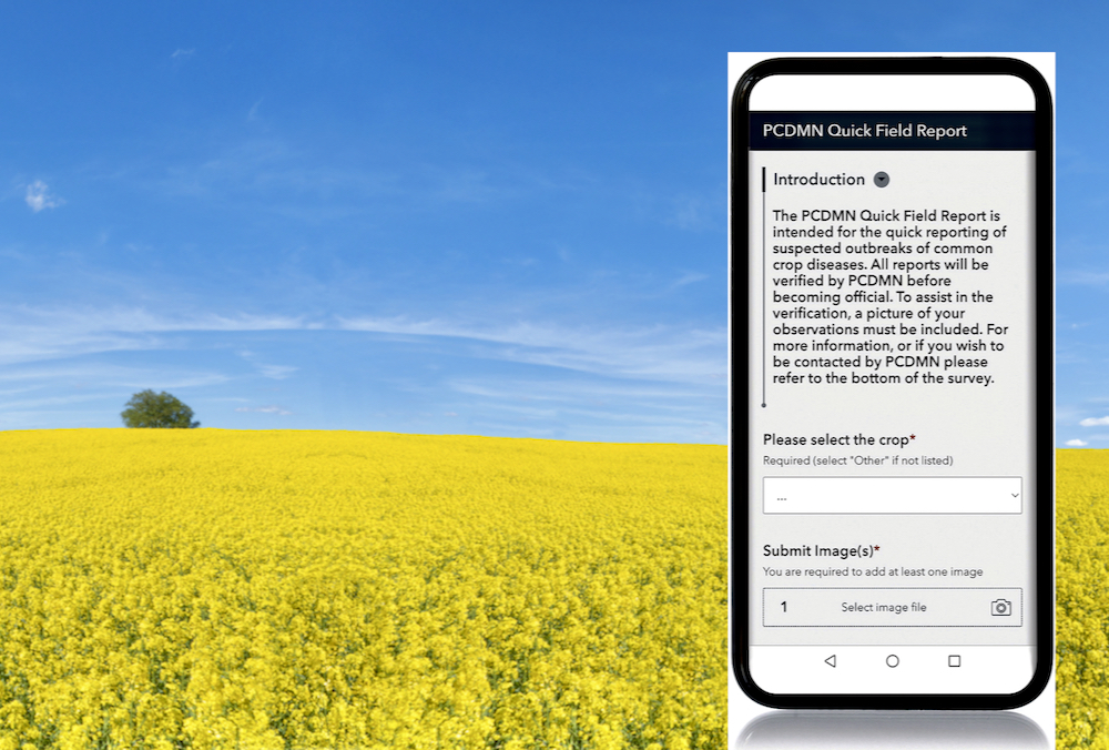 Crop disease reporting tool is now live