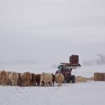 “If you don’t have a program that addresses the events specifically, then it can sometimes be a blunt tool to address it.” – Tyler Fulton.