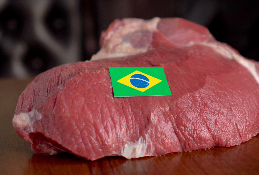 beef and flag of Brazil