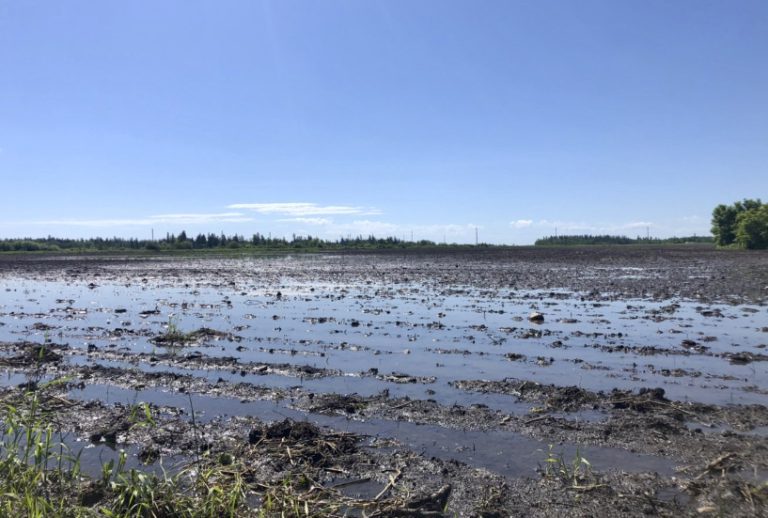 Western Canada in an entirely new hydroclimatic cycle, scientist says