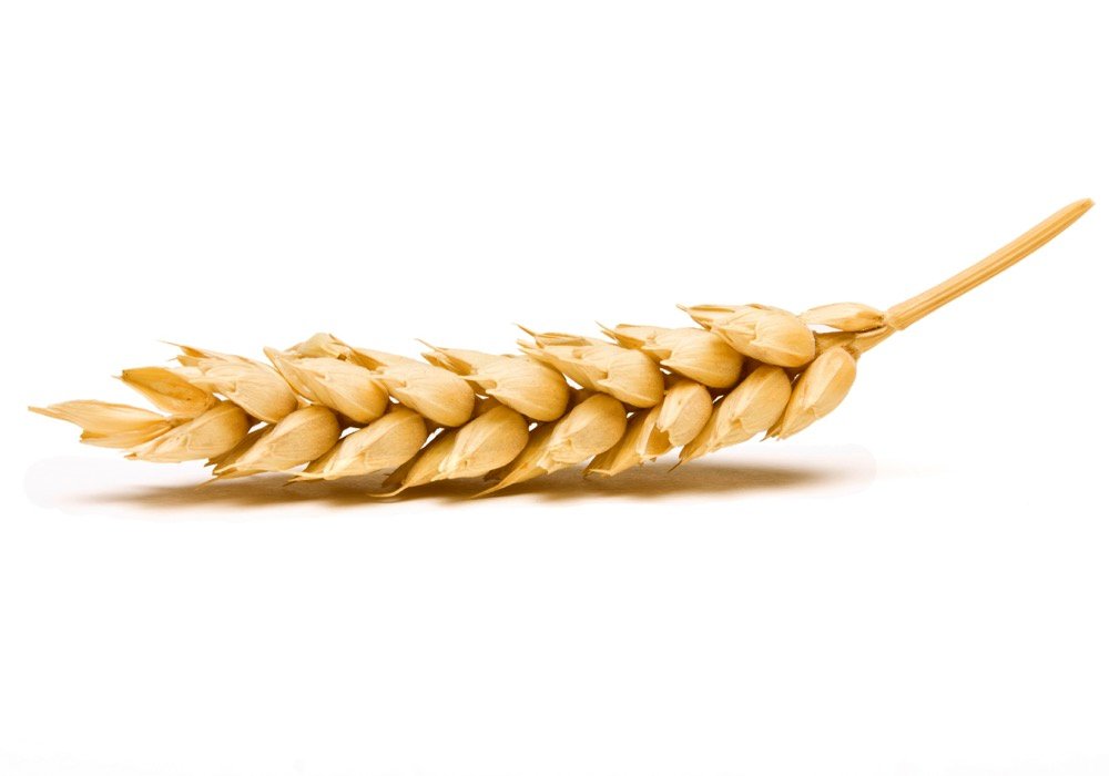 Photo: iStock
