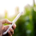 Farmer used smartphone for approved plant at corn field

