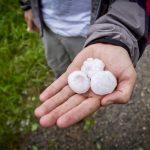 Severe weather in the form of heavy rains and large hail hit some areas in rural Manitoba.  Photo: iStock/Getty Images Plus
