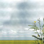 “The old highs are the old highs. We’re not going back there,” says Errol Anderson of ProMarket Communications.  Photo: File
