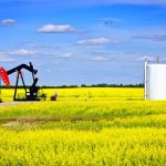 The king of all commodities, crude oil, has a natural connection with oilseed crops...