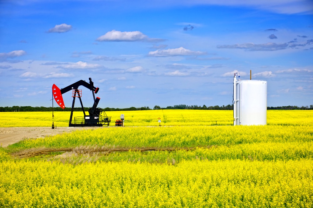 The king of all commodities, crude oil, has a natural connection with oilseed crops...