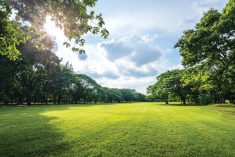 A mixed outlook for July and August