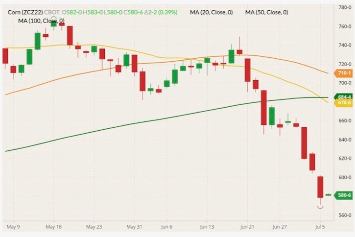 CBOT December 2022 corn (candlesticks) with 20-, 50- and 100-day moving averages (yellow, orange and dark green lines). (Barchart)
