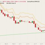 CBOT September 2022 wheat (candlesticks) with 200-day moving average (blue line), MGEX September 2022 spring wheat (yellow line) and K.C. September 2022 hard red wheat (orange line). (Barchart)
