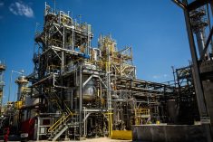 BASF’s dicamba production facility in Beaumont, Tex. (BASF.com)