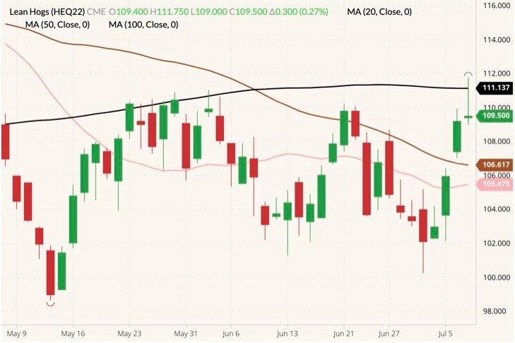 CME August 2022 lean hogs (candlesticks) with 20-, 50- and 100-day moving averages (pink, brown and black lines). (Barchart)
