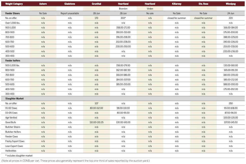 Feeder and butcher cattle see market strength