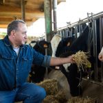 Ultimately for a farm business it will be a balancing act between costs and achieving emission reduction goals.