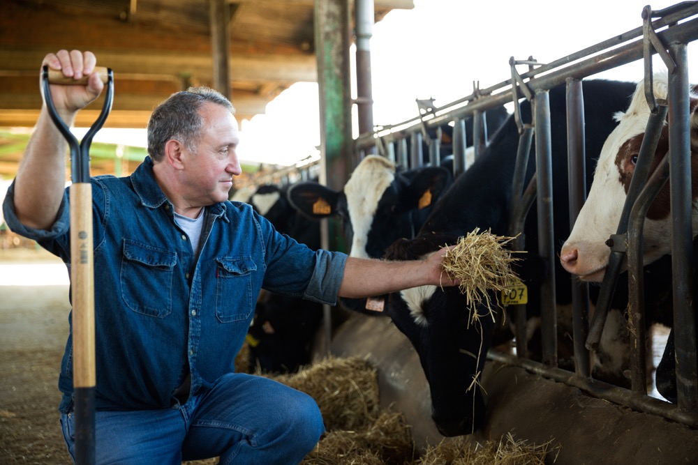 Ultimately for a farm business it will be a balancing act between costs and achieving emission reduction goals.